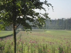 Unser Hof